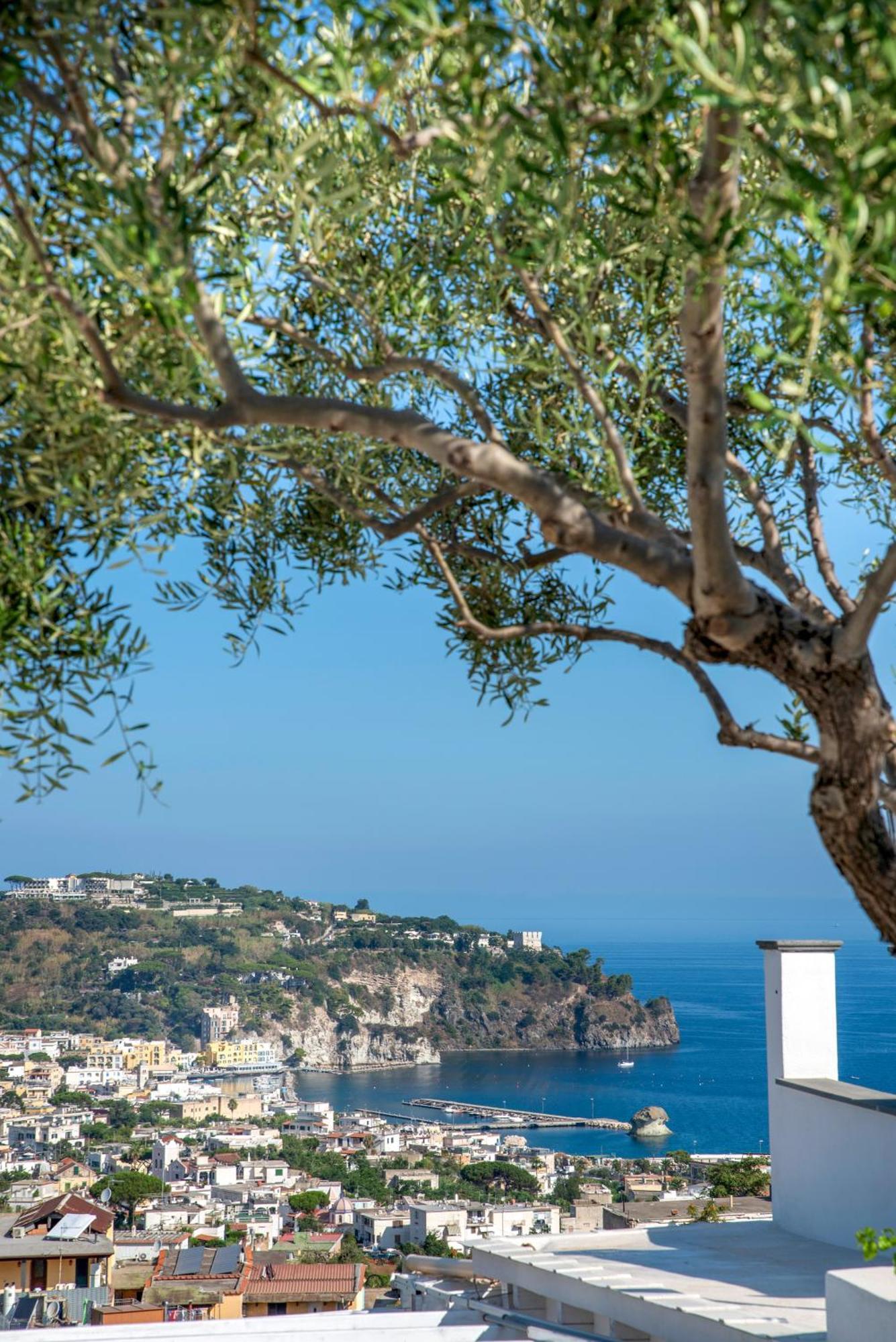 Hotel Bel Tramonto Casamicciola Terme ภายนอก รูปภาพ